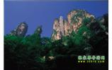 網(wǎng)絡(luò)熱門純玩游:張家界、天子山、袁家界、楊家界 自助三日游