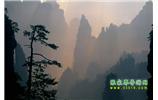 張家界國家森林公園、寶峰湖/黃龍洞、鳳凰古城、三峽八日游