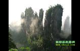 張家界---阿凡達(dá)-潘多拉神奇之旅